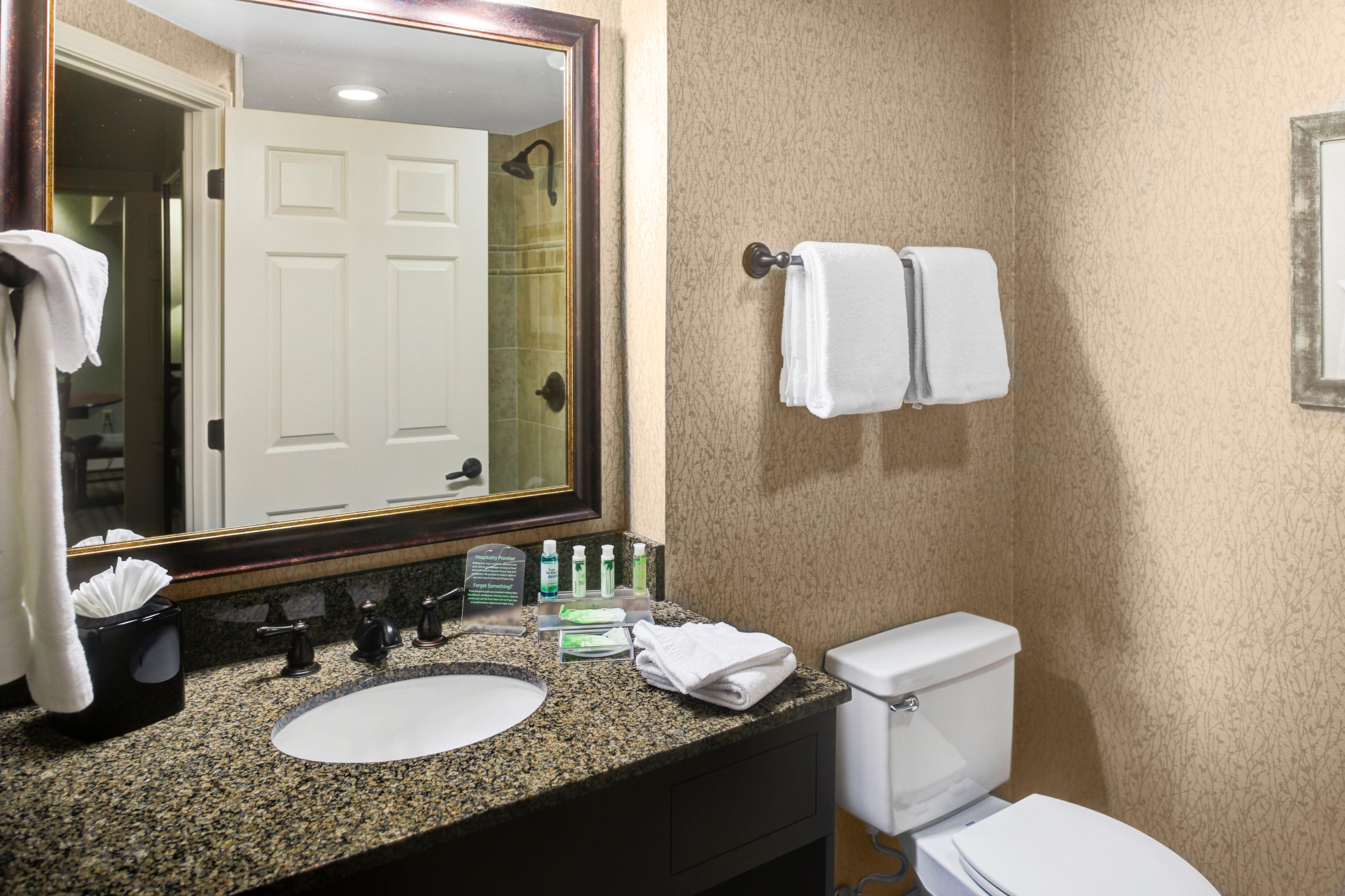 Holiday Inn Express Hotel & Suites Atlanta Buckhead By Ihg Εξωτερικό φωτογραφία